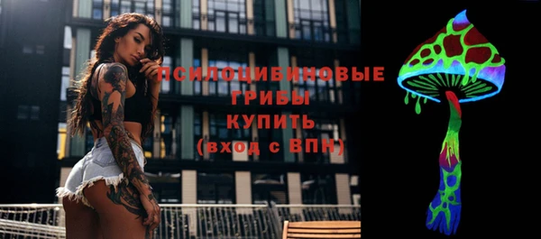 apvp Алексеевка