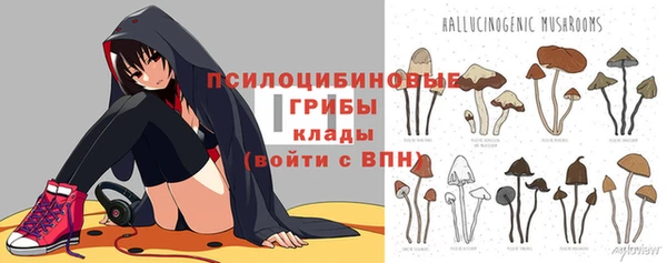 apvp Алексеевка
