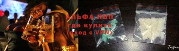 трава Коряжма