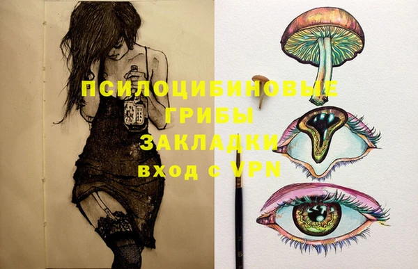 сатива Корсаков