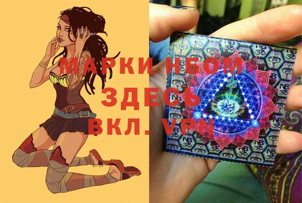 стафф Алзамай