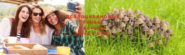 apvp Алексеевка